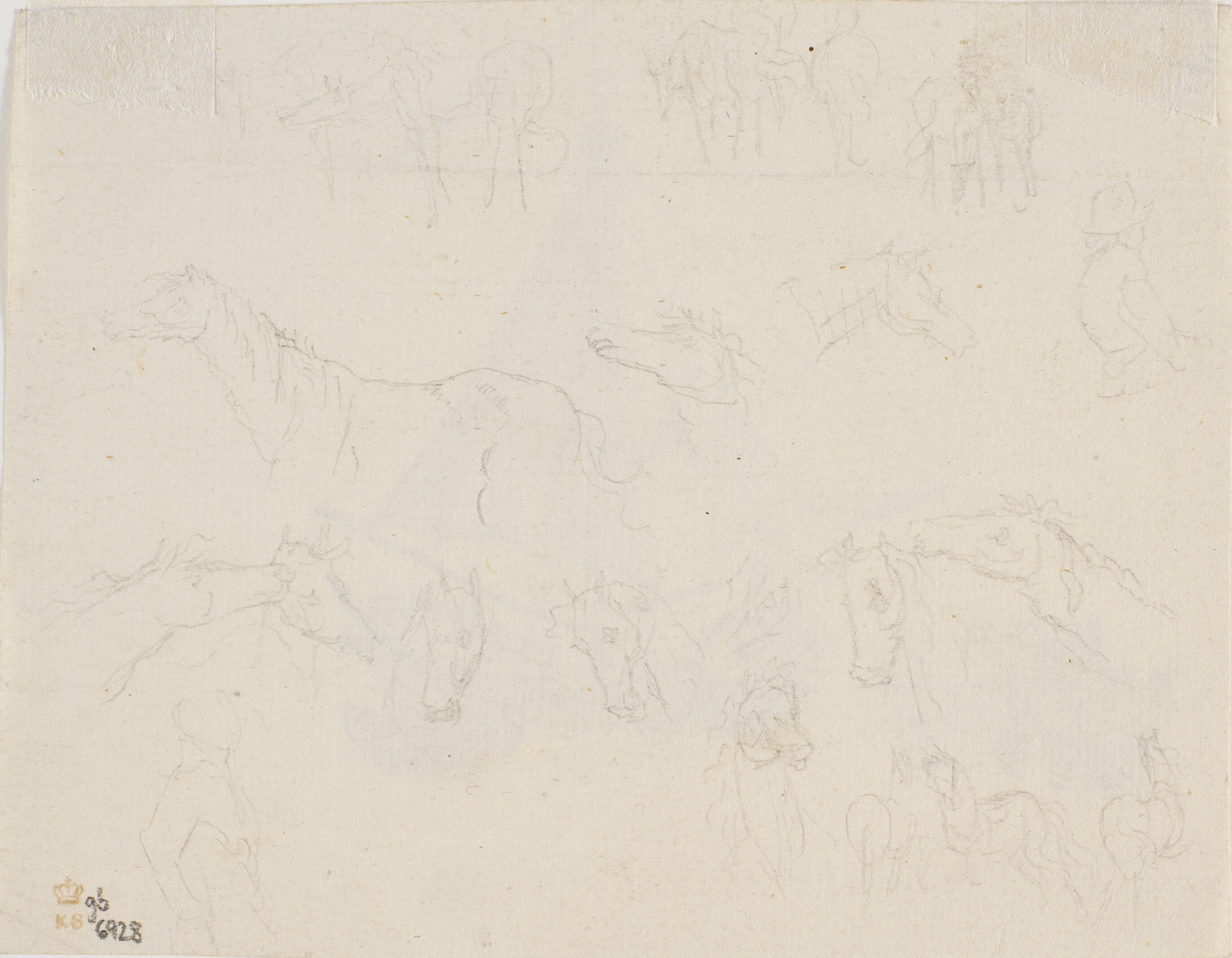 Løse skitser af heste